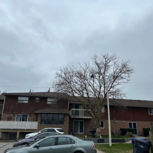 WhatsApp Image 2025-04-17 at 12.37.14 AM (1)